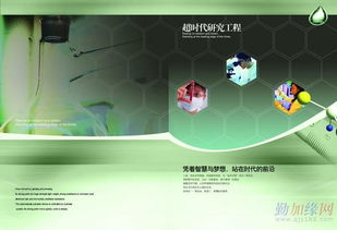 新乡胡杨广告设计 创意与服务的完美融合